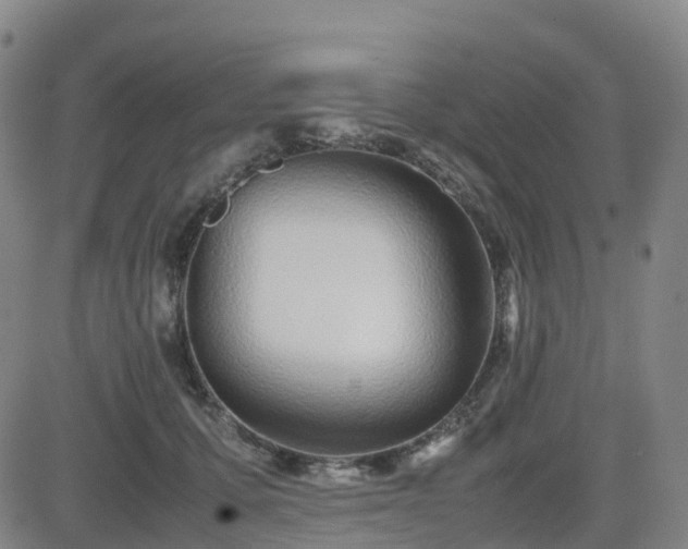 X0000082740607200702021347