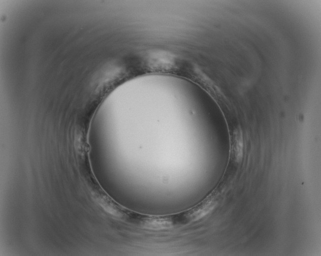 X0000082740619200702021347