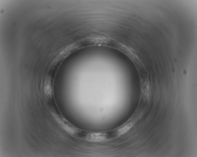 X0000082740622200702021347