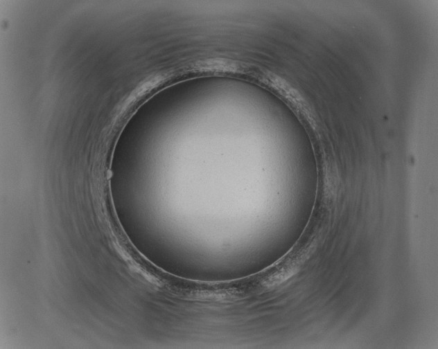 X0000082740625200702021346