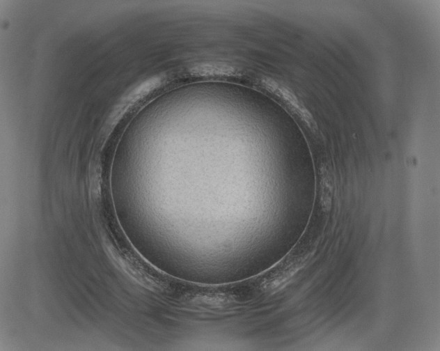 X0000082740631200702021346