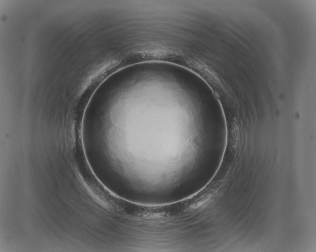 X0000082740638200702021346