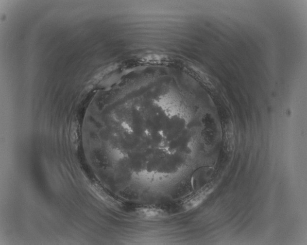 X0000082740654200702021347