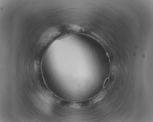 X0000082740656200702021347