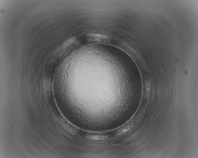 X0000082740657200702021347