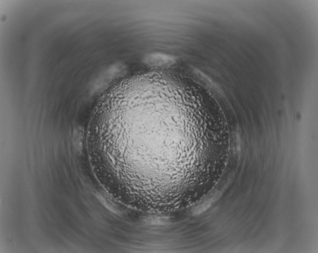 X0000082740664200702021347