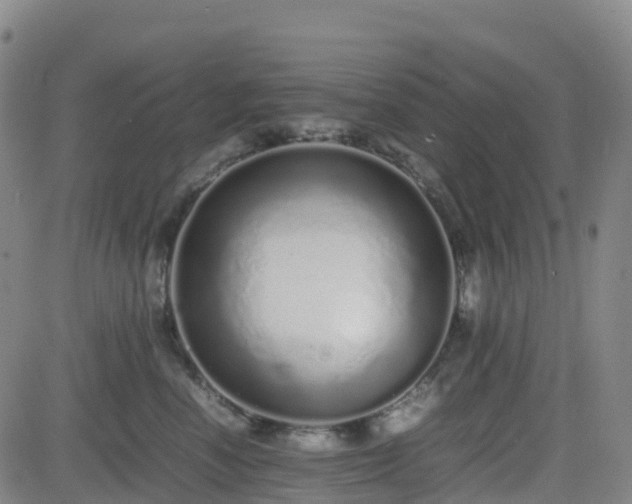 X0000082740666200702021347