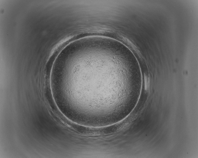 X0000082740675200702021346
