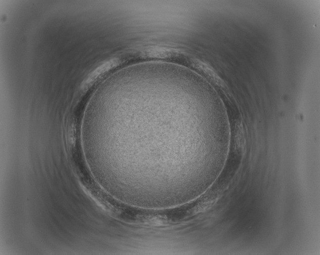 X0000082740683200702021346