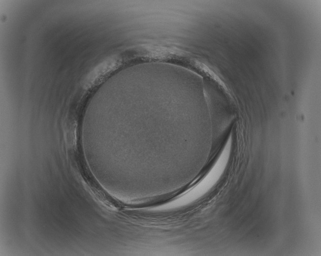 X0000082740685200702021346