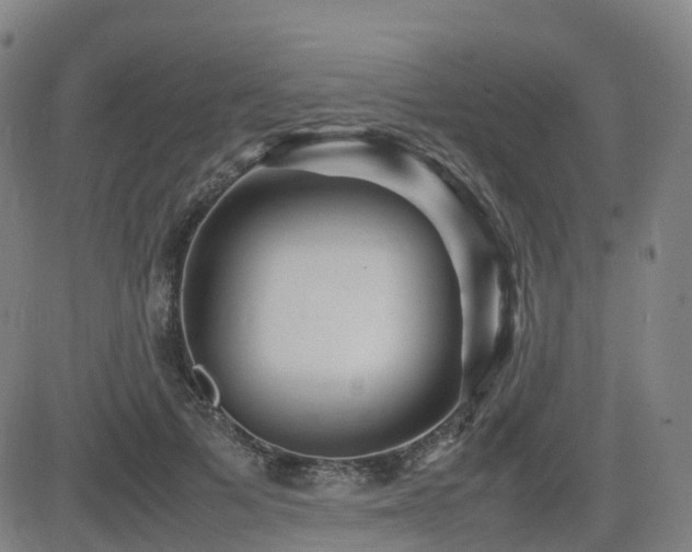 X0000082740697200702021346