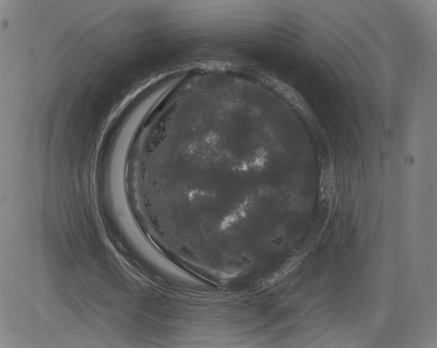 X0000082740722200702021345