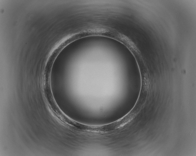 X0000082740726200702021345