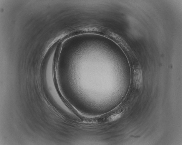X0000082740727200702021345