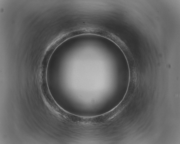 X0000082740730200702021345