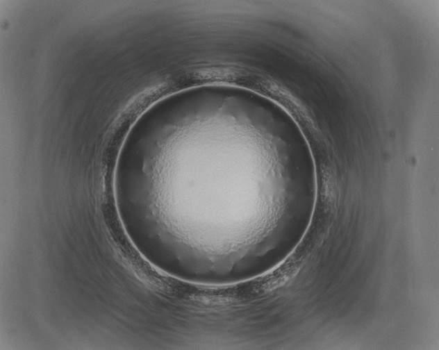 X0000082740733200702021345