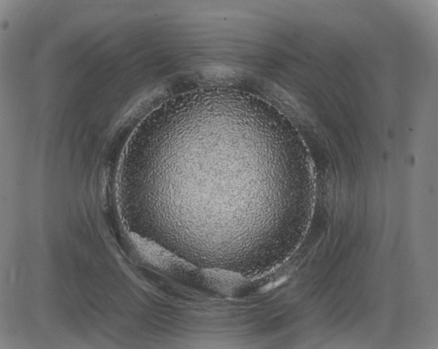 X0000082740742200702021345