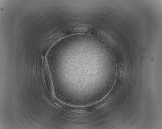 X0000082740745200702021345