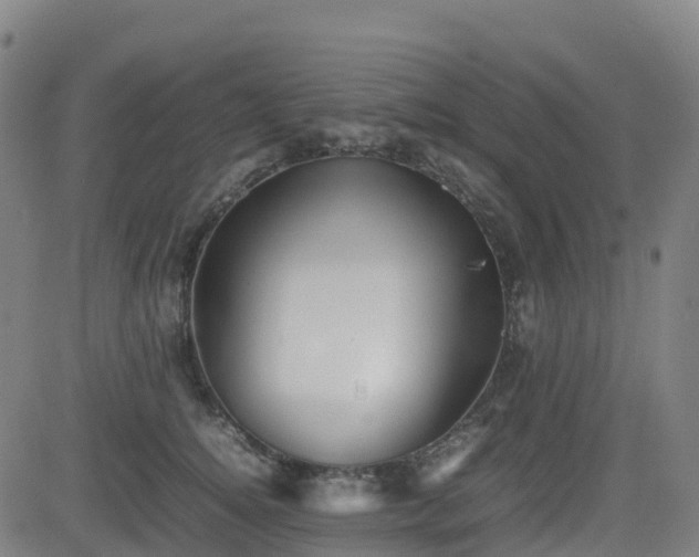 X0000082740756200702021345