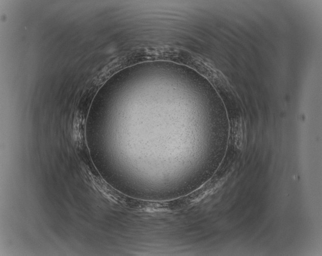 X0000082740770200702021344