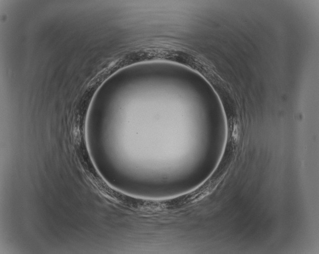 X0000082740771200702021344