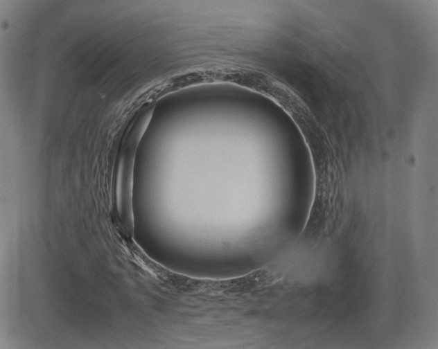 X0000082740773200702021344