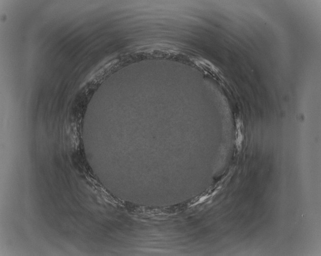 X0000082740774200702021344