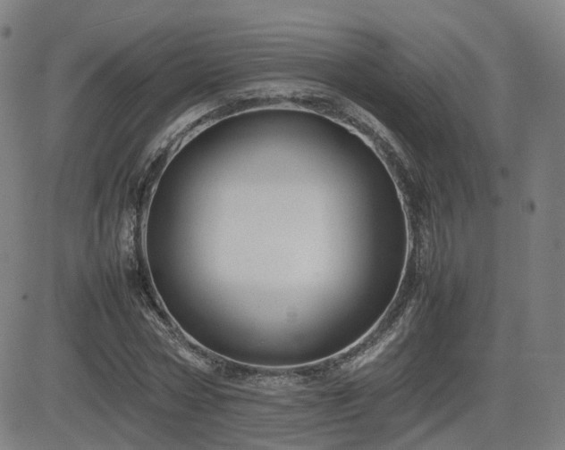 X0000082740778200702021344