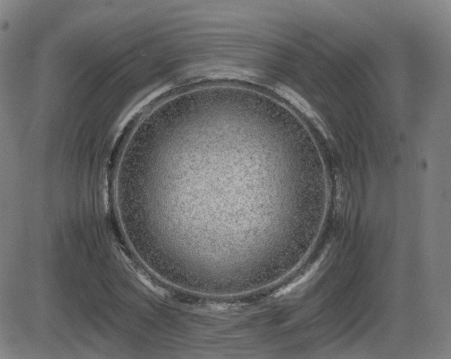 X0000082740782200702021344