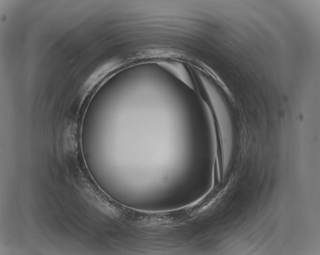 X0000082740786200702021344