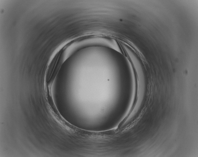 X0000082740788200702021344