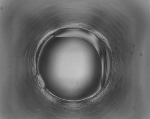X0000082740792200702021344