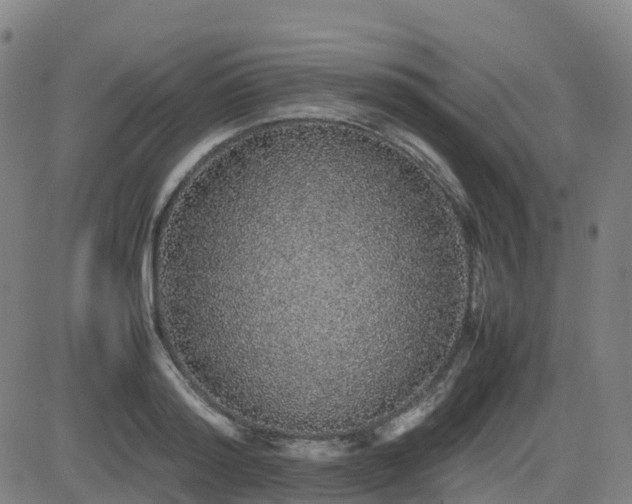 X0000082740796200702021344