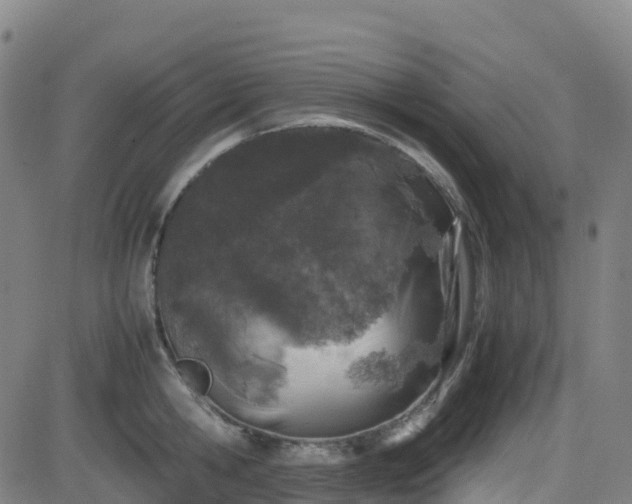 X0000082740806200702021344