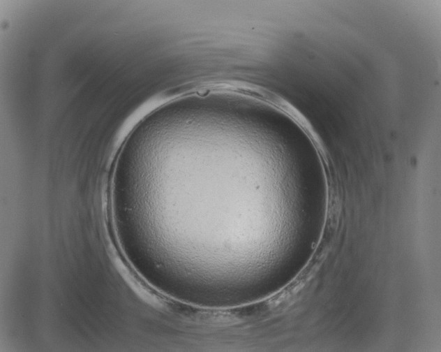 X0000082740811200702021344