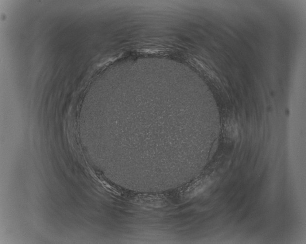 X0000082740817200702021343