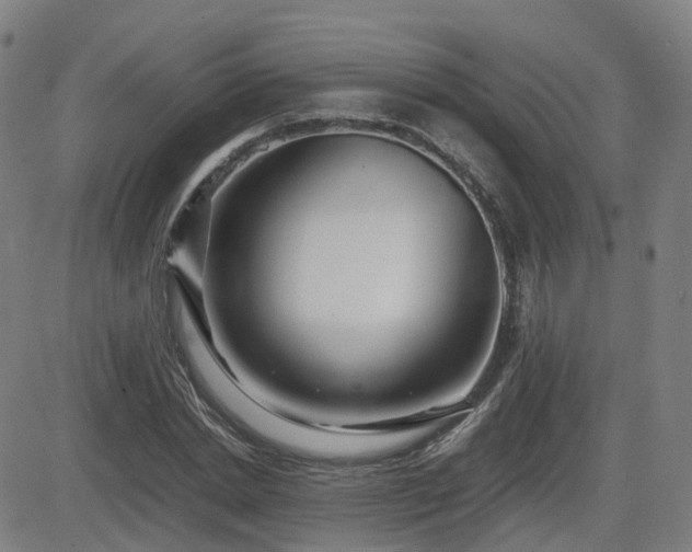 X0000082740830200702021343