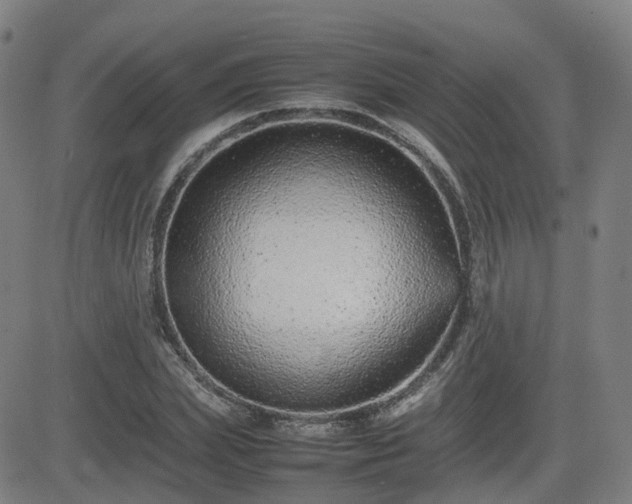 X0000082740831200702021343