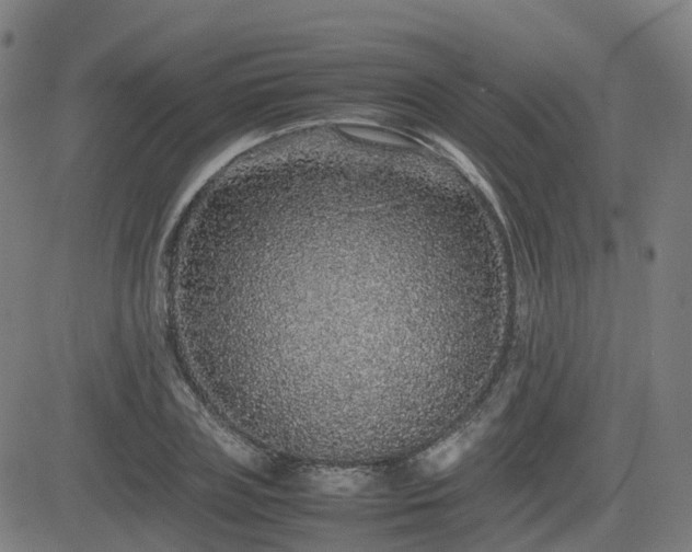 X0000082740835200702021343