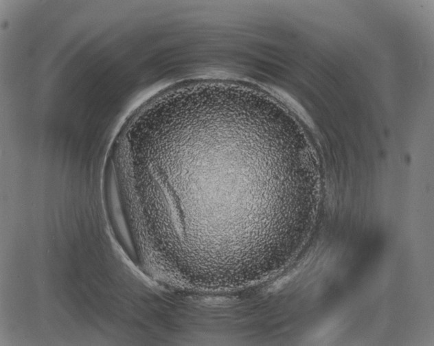 X0000082740839200702021343