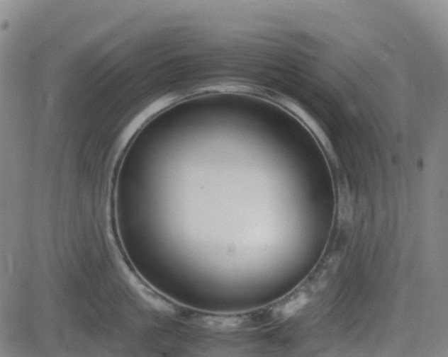 X0000082740861200702021344