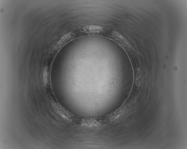 X0000082740866200702021343