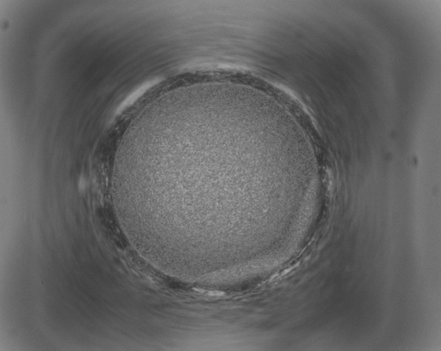 X0000082740871200702021343
