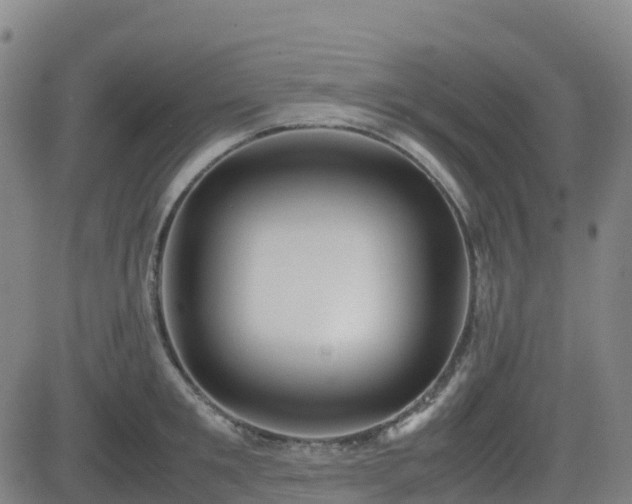 X0000082740901200702021342