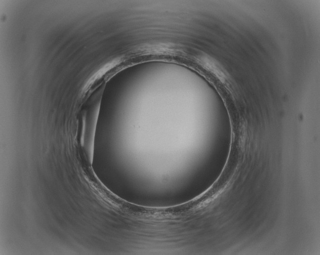 X0000082740922200702021342