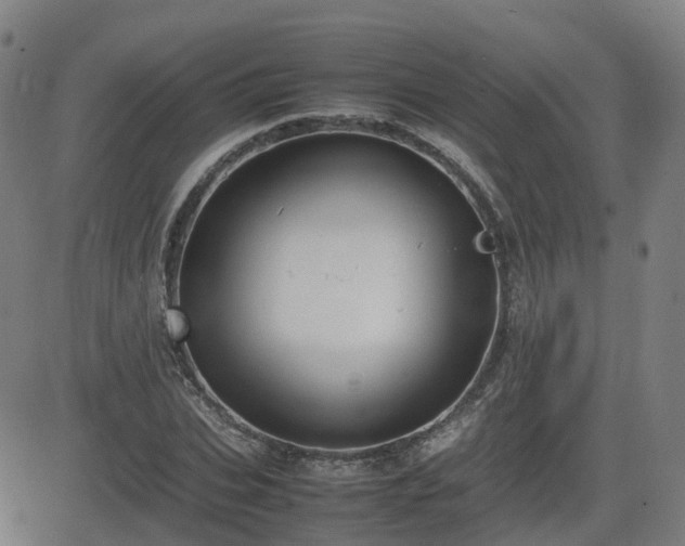 X0000082740927200702021342