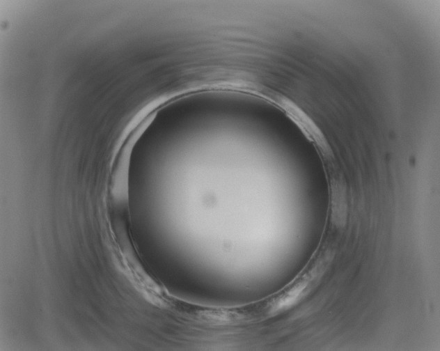 X0000082740956200702021342