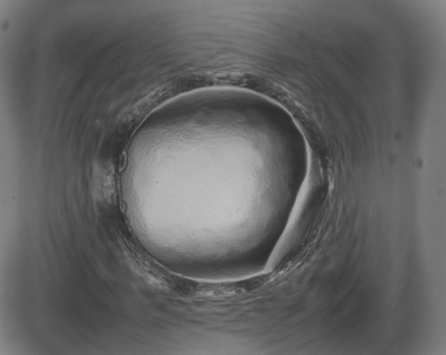 X0000082740963200702021341