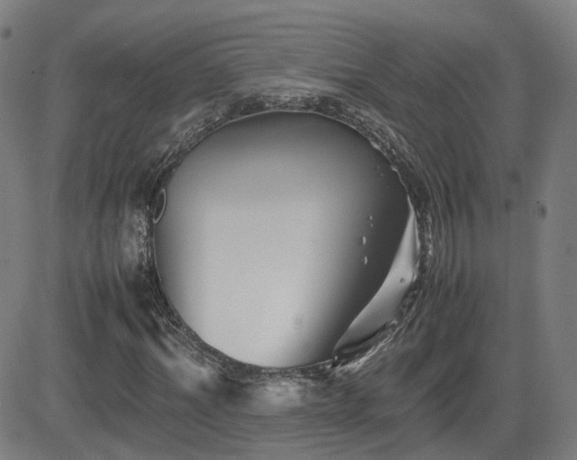 X0000082740964200702021341