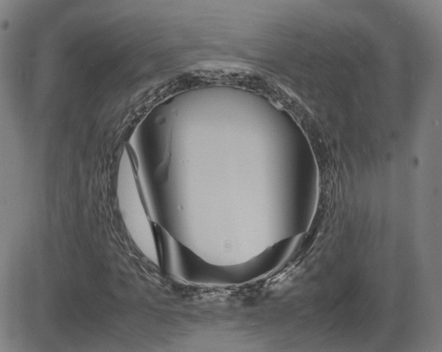 X0000082740965200702021341